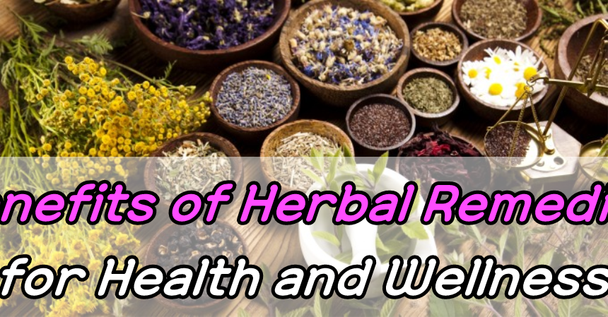 The Benefits Of Herbal Remedies For Health And Wellness - Healthy Eat